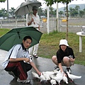 鴿子飼料一包２０元