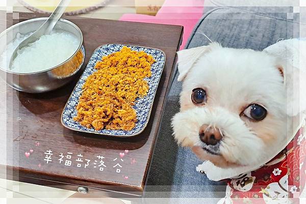 鎮瀾宮 媽祖 唯豐 三牲肉鬆 鎮瀾宮 媽祖 唯豐 三牲肉鬆