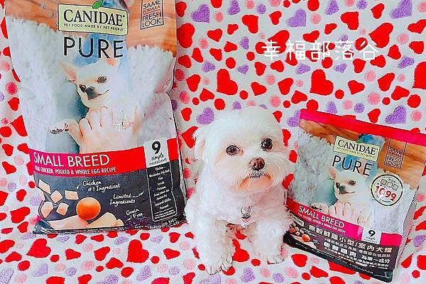 CANIDAE-卡比.jpg CANIDAE-卡比.jpg