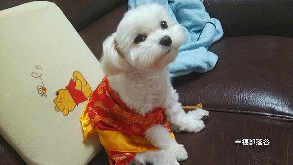 473531.jpg 473531.jpg