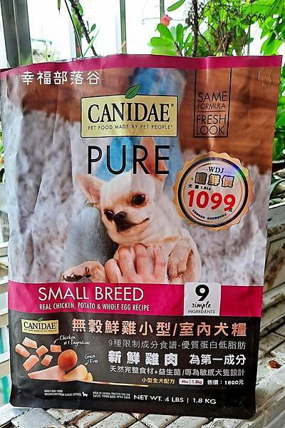 CANIDAE-1.jpg CANIDAE-1.jpg