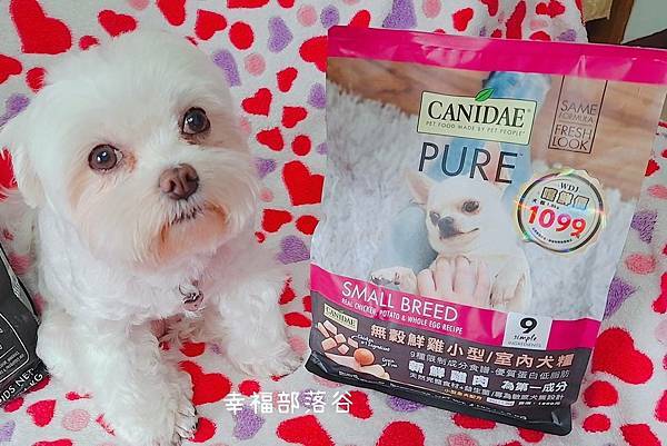 474559.jpg 474559.jpg