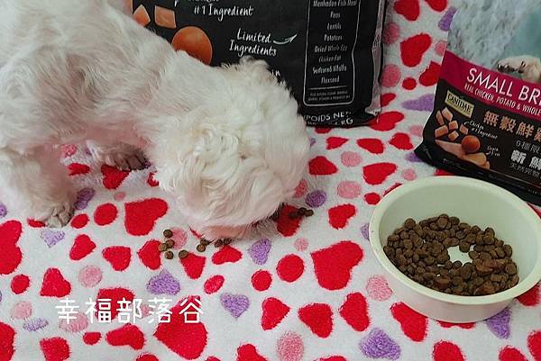 CANIDAE-ˋ.jpg CANIDAE-ˋ.jpg