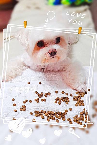 474561.jpg 474561.jpg