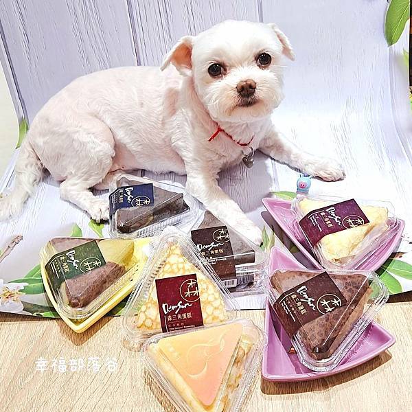 迪爾森森三角蛋糕2.jpg