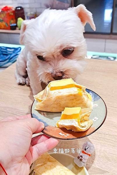 迪爾森 森三角蛋糕.jpg