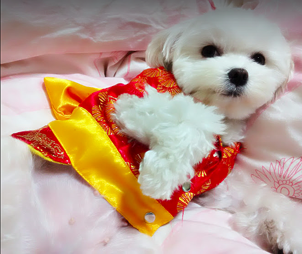 螢幕快照 2023-01-05 下午10.43.43.png