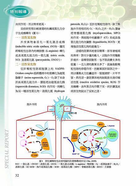 從全球牡蠣疫情警訊談牡蠣與病原生物的演化戰爭(2010 No32)_頁面_2