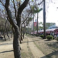 P1000487.JPG