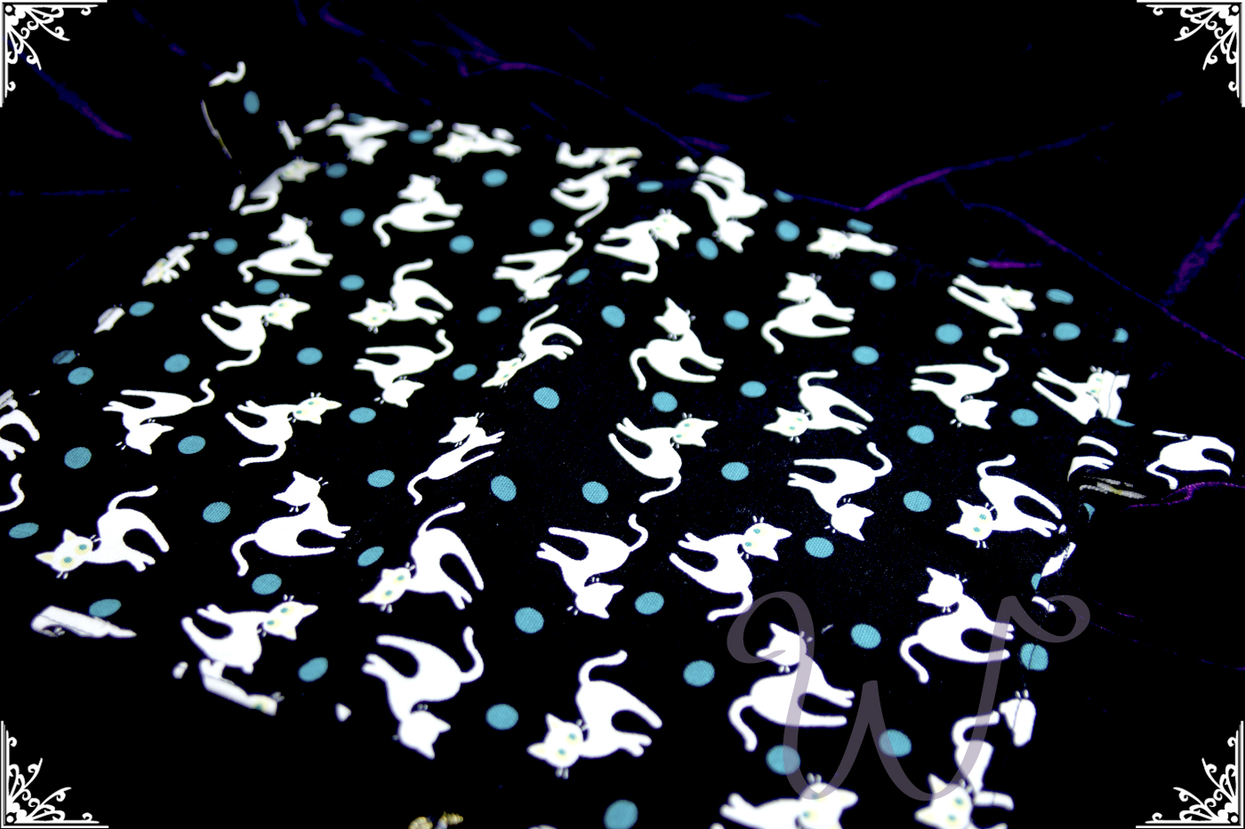 _MG_6768.jpg _MG_6768.jpg