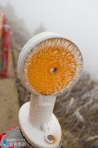 66