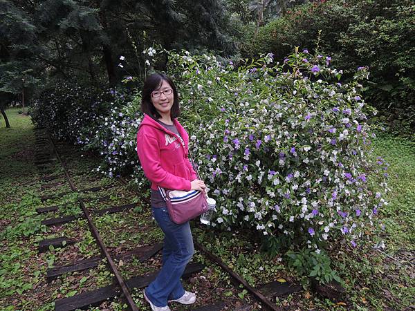 然後來到林田山園區