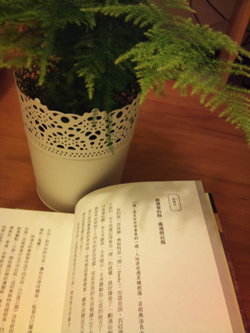 自從那難纏的序