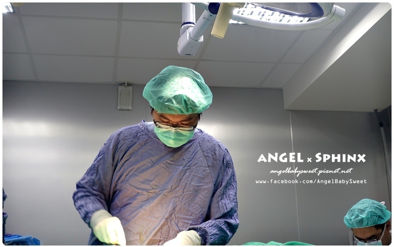 威塑超音波抽脂分享 - VASER威塑抽脂告別愛的把手馬鞍肉&雕塑腰窩 + 自體脂肪填補15.jpg 威塑超音波抽脂分享 - VASER威塑抽脂告別愛的把手馬鞍肉&雕塑腰窩 + 自體脂肪填補15.jpg