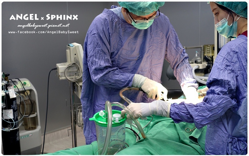 威塑超音波抽脂分享 - VASER威塑抽脂告別愛的把手馬鞍肉&雕塑腰窩 + 自體脂肪填補16.jpg 威塑超音波抽脂分享 - VASER威塑抽脂告別愛的把手馬鞍肉&雕塑腰窩 + 自體脂肪填補16.jpg