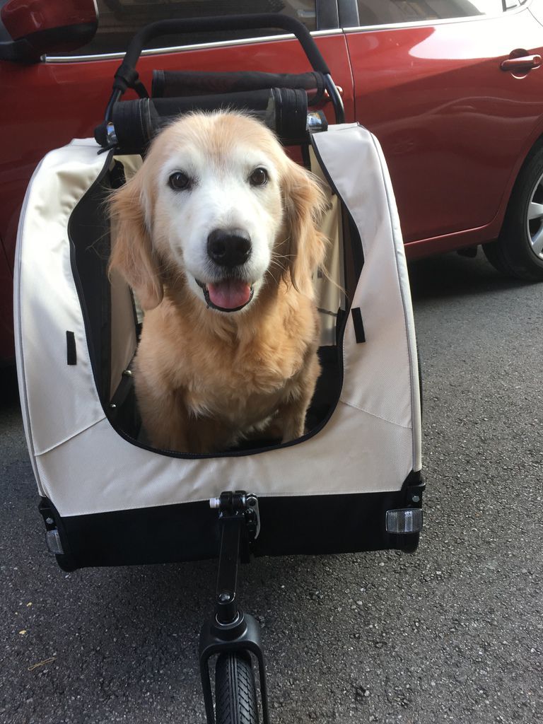 IMG_1970.JPG IMG_1970.JPG