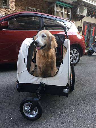 IMG_1987.JPG IMG_1987.JPG