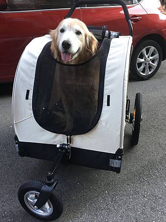 IMG_1993.JPG IMG_1993.JPG