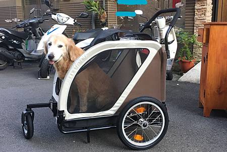 IMG_1982_LI.jpg IMG_1982_LI.jpg