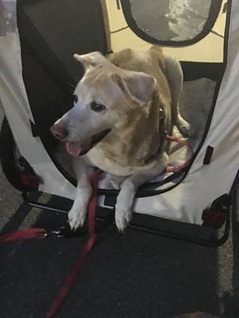 IMG_2092.JPG IMG_2092.JPG