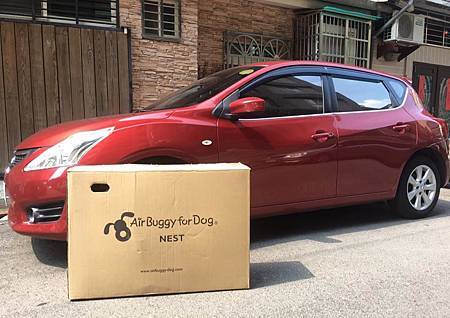 19904948_1766935443324573_4744826100049869896_n.jpg 19904948_1766935443324573_4744826100049869896_n.jpg