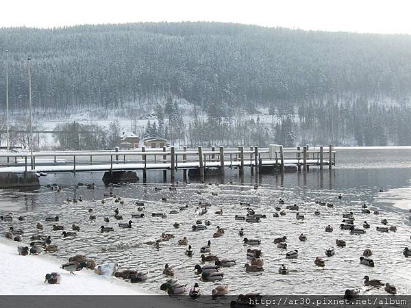 寒冬的蒂蒂湖 (Titisee)