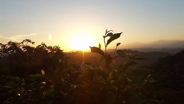 P_20160716_052924_DF.jpg P_20160716_052924_DF.jpg