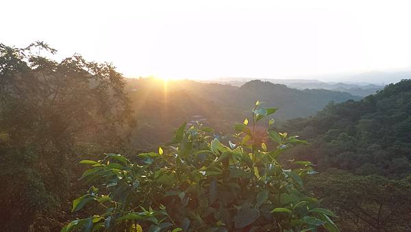 P_20160716_052833_DF.jpg P_20160716_052833_DF.jpg