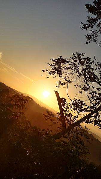 P_20160716_053533_1_HDR_p.jpg P_20160716_053533_1_HDR_p.jpg