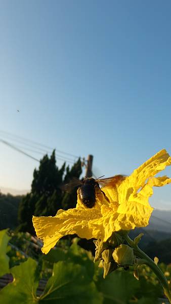 P_20160716_054906_DF.jpg P_20160716_054906_DF.jpg