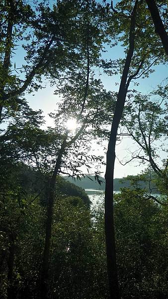 P_20160716_062211_1_HDR_p.jpg P_20160716_062211_1_HDR_p.jpg