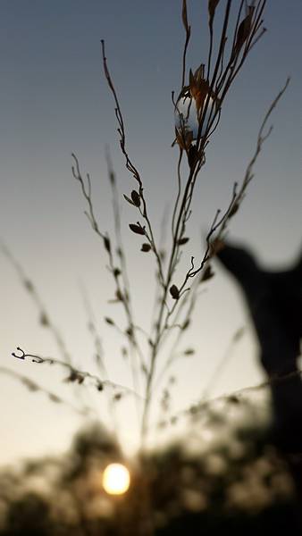 P_20160724_062332_DF.jpg P_20160724_062332_DF.jpg