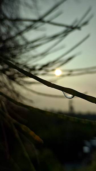 P_20160724_064134_1_HDR_p.jpg P_20160724_064134_1_HDR_p.jpg