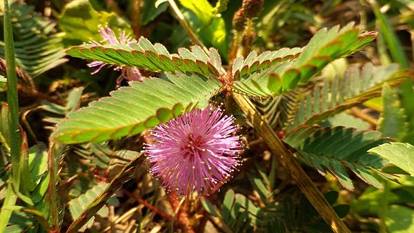 P_20160724_082953_DF.jpg P_20160724_082953_DF.jpg