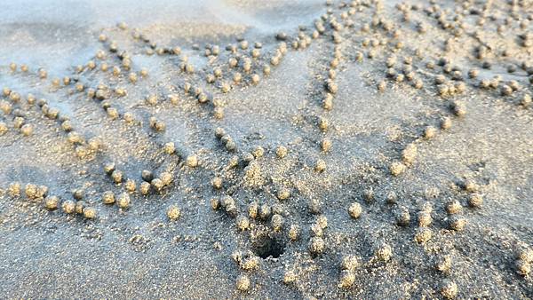 P_20160805_061712_1_HDR_p.jpg P_20160805_061712_1_HDR_p.jpg