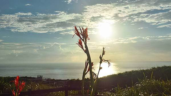 P_20160809_060847_1_HDR_p.jpg P_20160809_060847_1_HDR_p.jpg