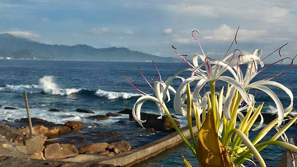 P_20160809_064342_HDR_p.jpg P_20160809_064342_HDR_p.jpg