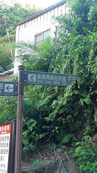 P_20160809_072205_1_p.jpg P_20160809_072205_1_p.jpg