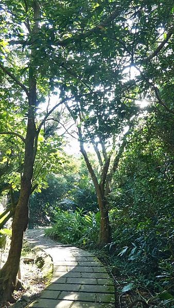 P_20160809_072421_1_HDR_p.jpg P_20160809_072421_1_HDR_p.jpg