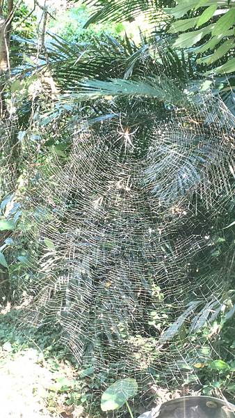 P_20160809_072503_1_HDR_p.jpg P_20160809_072503_1_HDR_p.jpg