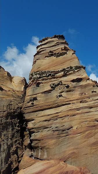 P_20160809_085245_1_p.jpg P_20160809_085245_1_p.jpg