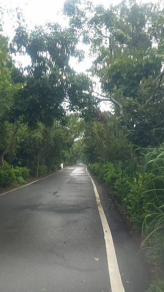 P_20160813_063452_1_p.jpg P_20160813_063452_1_p.jpg