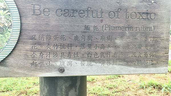 P_20160813_083026_1_HDR_p.jpg P_20160813_083026_1_HDR_p.jpg