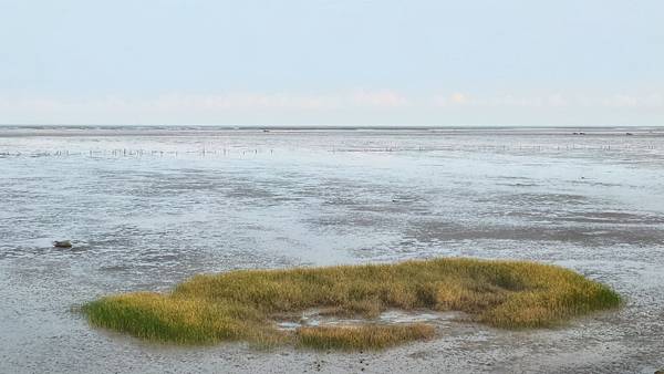 P_20160825_072004_1_HDR_p.jpg P_20160825_072004_1_HDR_p.jpg