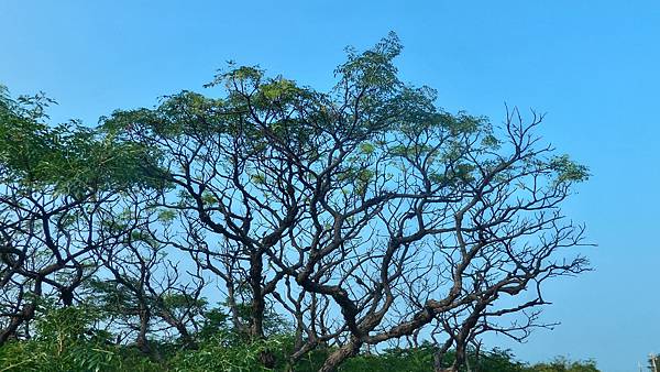 P_20160825_073323_1_HDR_p.jpg P_20160825_073323_1_HDR_p.jpg