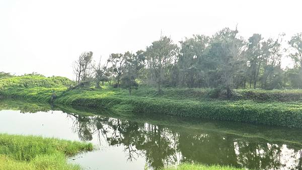 P_20160825_074145_HDR_p.jpg P_20160825_074145_HDR_p.jpg