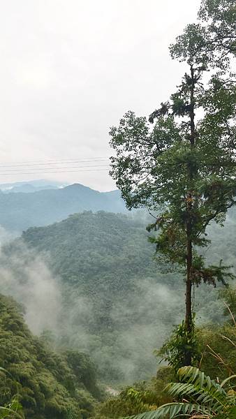 P_20160829_062002_1_HDR_p.jpg P_20160829_062002_1_HDR_p.jpg