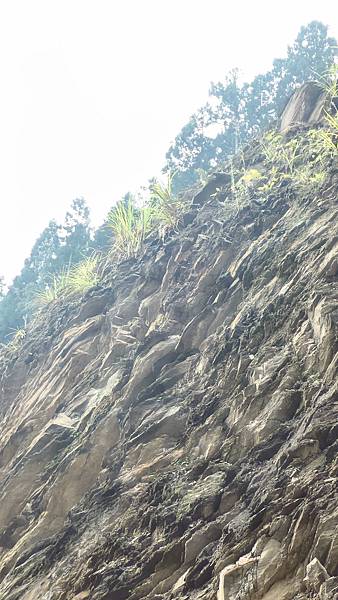 P_20160829_074637_1_HDR_p.jpg P_20160829_074637_1_HDR_p.jpg