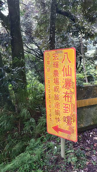 P_20160829_075123_1_HDR_p.jpg P_20160829_075123_1_HDR_p.jpg