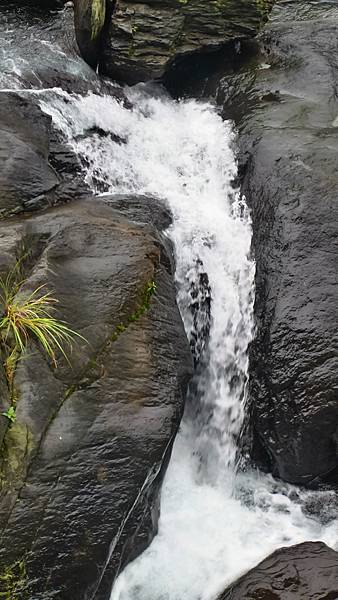 P_20160829_075738_1_HDR_p.jpg P_20160829_075738_1_HDR_p.jpg